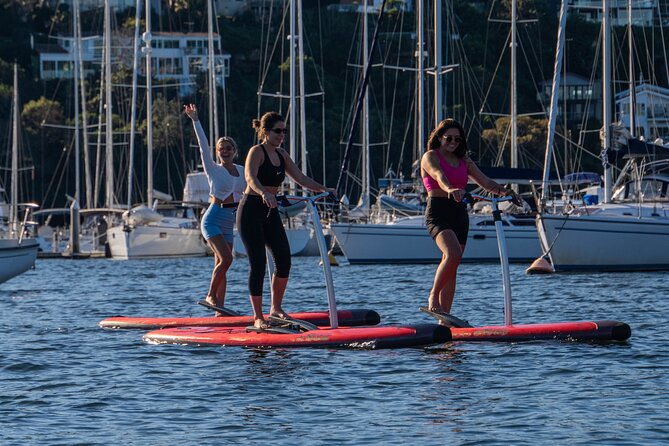 Guided Step-Up Paddle Board Tour of Narrabeen Lagoon - Final Thoughts