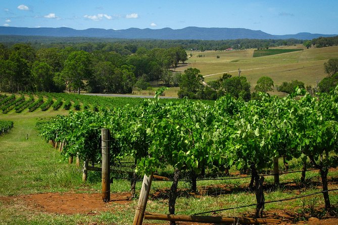 Private Luxury Tour: Tastes of the Hunter Valley - Key Points