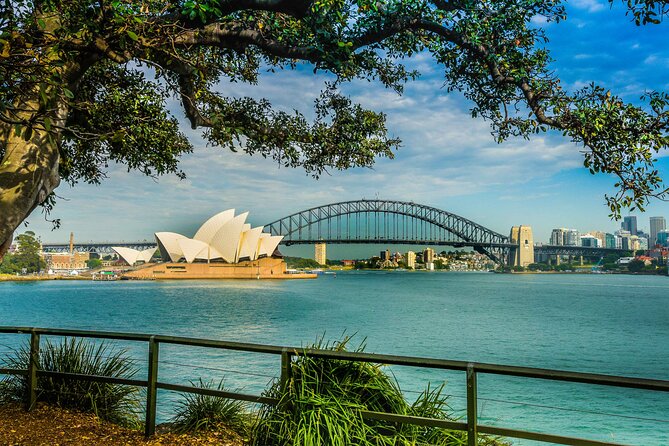 Sydney Combo: Morning Sightseeing to Bondi & Harbour Lunch Cruise - Who Will Love This Tour?