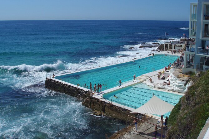 Sydney Combo: Morning Sightseeing to Bondi & Harbour Lunch Cruise - In-Depth Review of the Sydney Combo Tour