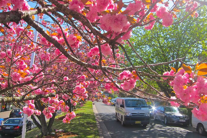 Blue Mountain Tour with Hop on and Hop Off Bus - FAQs