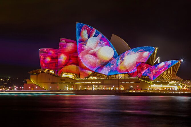 Admission to Vivid Dinner Cruise in Sydney - What Travelers Appreciate