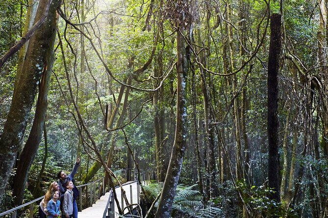 Private Small Group Tour in Blue Mountains - An In-Depth Look at the Blue Mountains Small Group Tour