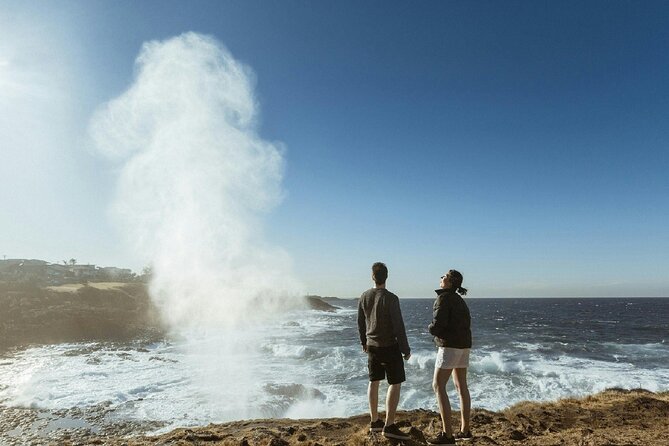 Private Kiama and South Coast Tour from Sydney - Introduction