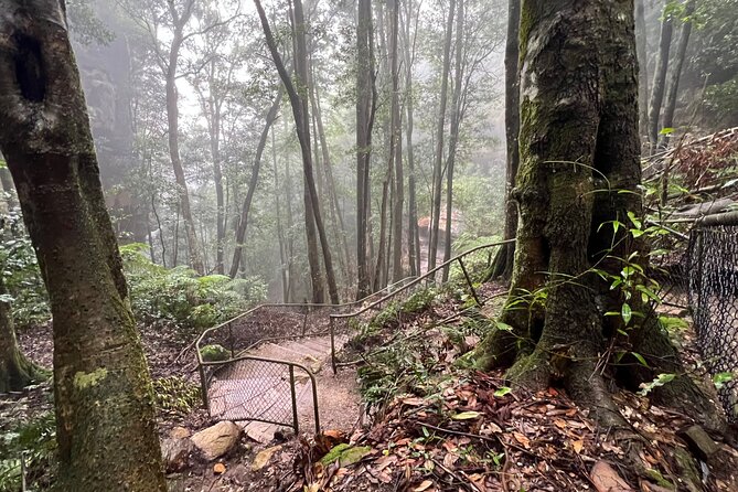 Blue Mountains Experience: Explore & Discover Majestic Landscapes - Transport, Pricing, and Accessibility