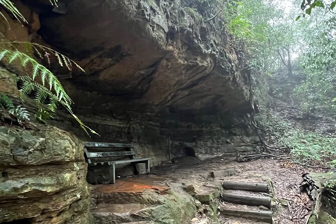 Blue Mountains Experience: Explore & Discover Majestic Landscapes - Key Points