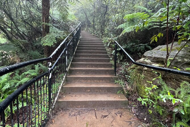 Blue Mountains Experience: Explore & Discover Majestic Landscapes - The Sum Up