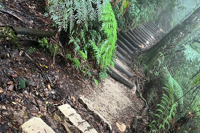 Blue Mountains Experience: Explore & Discover Majestic Landscapes - What Travelers Say (Based on Actual Reviews)