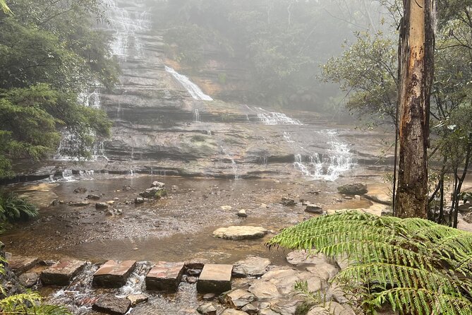 Blue Mountains Experience: Explore & Discover Majestic Landscapes - An Authentic Day Exploring the Blue Mountains