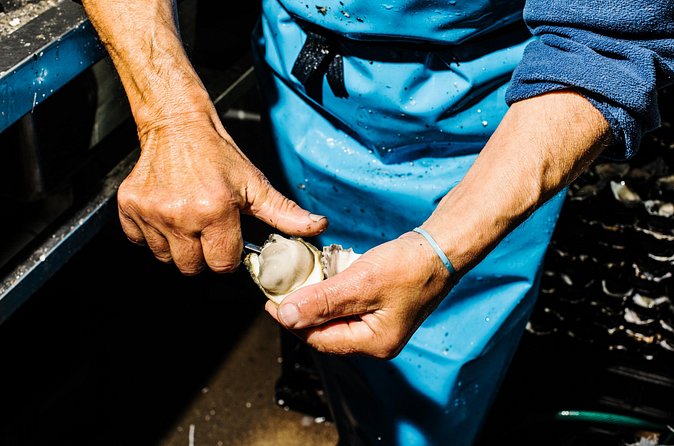 Seafood Discovery Class at Sydney Seafood School - FAQs