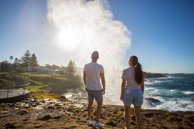 Kiama & Kangaroos - Sydney South Coast Escape Private Tour - Wildlife Encounters at Symbio