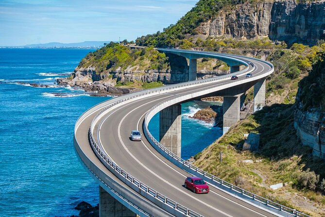Kiama & Kangaroos - Sydney South Coast Escape Private Tour - Exploring the Royal National Park