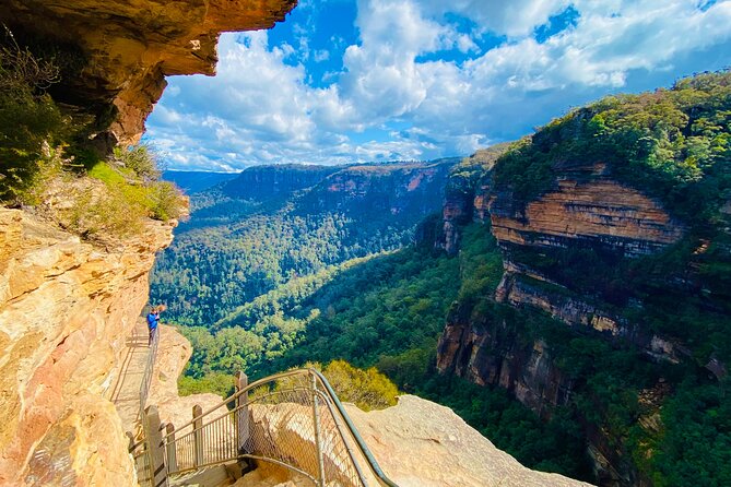 PRIVATE Luxury Blue Mountains & Wildlife Encounters Tour (10 hrs) - A Closer Look at the Experience