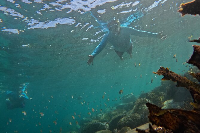 One on One Snorkel Experience - What to Expect from the Tour
