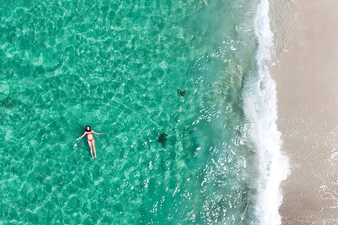 Jervis Bay Highlights Tour  Small Group Experience Scenic Coast - The Sum Up