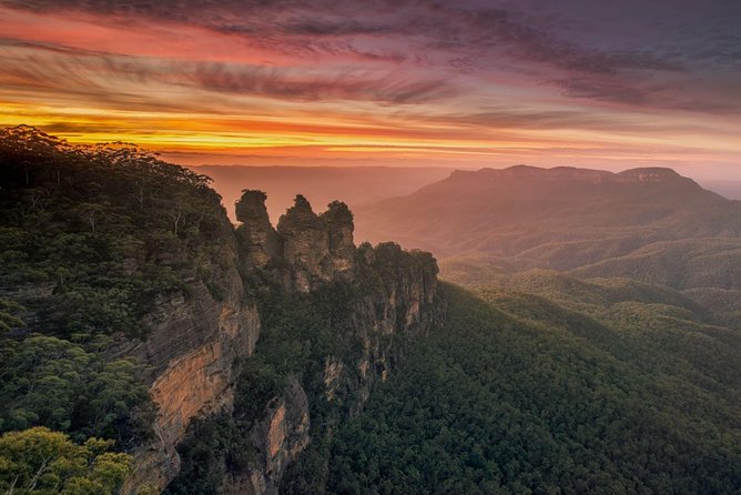 Blue Mountains Sunset Tour | See Kangaroos & Koalas (Private Tour) - An In-Depth Look at the Experience