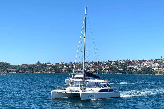 Dogs on Deck Harbour Cruise - Who Is This Tour Best For?