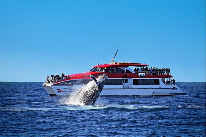 Sunset and Sparkle Sydney Harbour Cruise - FAQ