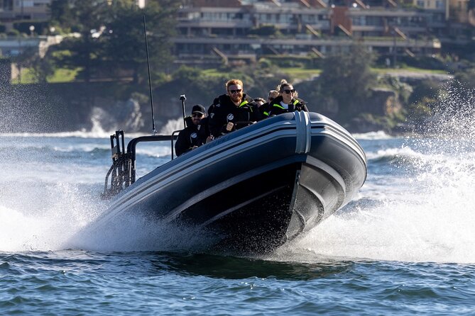 Sydney Whale Watching on Small RIB - A Deep Dive into the Whale Watching Adventure