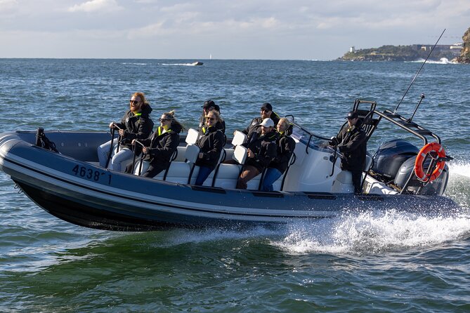 Sydney Whale Watching on Small RIB - FAQs
