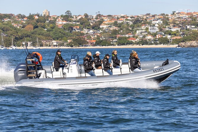 Sydney Whale Watching on Small RIB - Good To Know