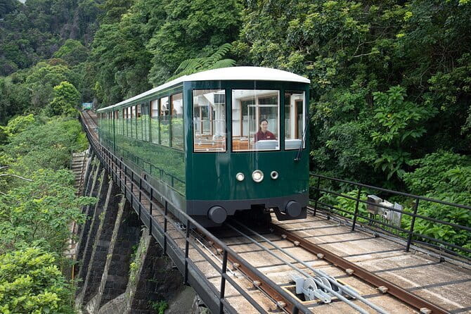 Hong Kong Peak Tram and Sky Terrace 428 Tickets (Optional) - Who Is This Tour Best For?