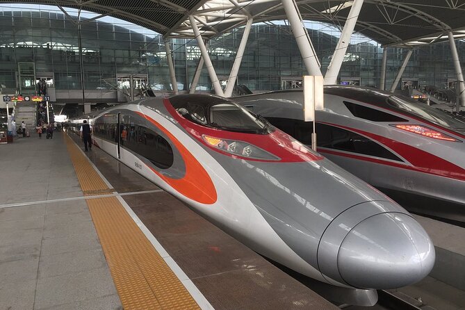 Day Tour to Shenzhen from Hong Kong by High Speed Bullet Train - Good To Know