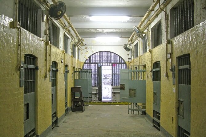 Hong Kong Private Tour (2024) | 200+ booked - A Deep Dive Into the Hong Kong Private Tour