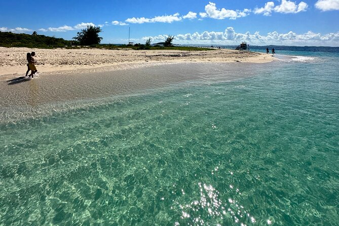 Half Day Power Catamaran Island and Snorkeling Trip - Who Will Love This Tour?