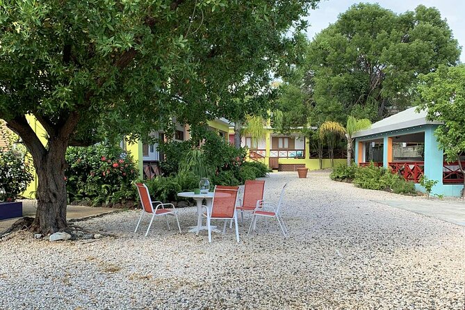 Discover Culebra Exclusive 2Day Boat Tour with Guesthouse Stay - Analyzing the Price and Value  