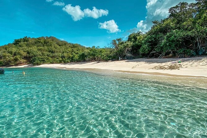 Full Day Private Boat Tour To Culebra - What Past Travelers Say