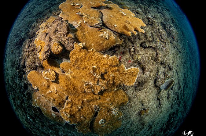 Experience Scuba - What to Expect from the Experience Scuba Tour