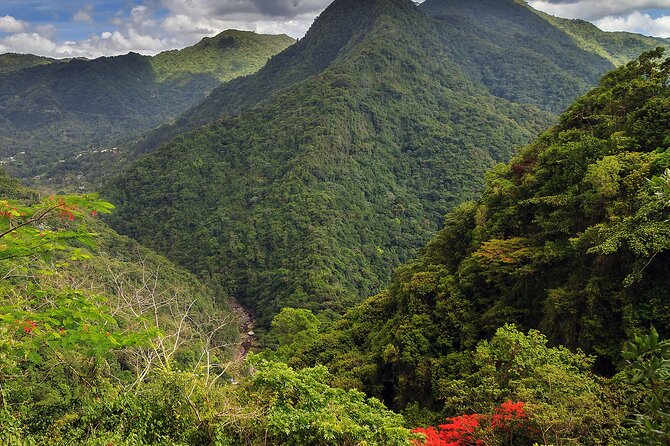 Chinchorreo Bar Hopping Tour from San Juan by DUHO - The Experience in Detail