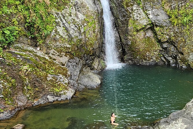 Tropical Rainforest Waterfalls & Panoramic Views Experience - In-Depth Look at the Tour Experience