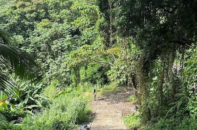 Charco el Hippie Tour - Final Thoughts