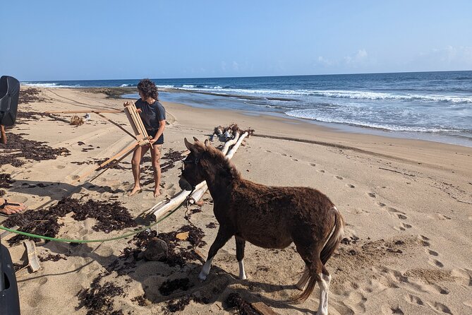 Guided Hike with Miniature Donkeys to a Secluded Beach - Exploring Puerto Rico’s Hidden Treasure: A Guided Hike with Miniature Donkeys to a Secluded Beach