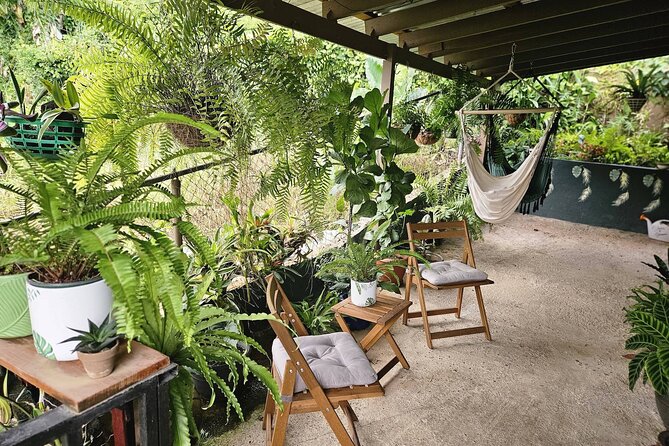 Private Puerto Rican Cooking Class with Cocktails Near San Juan - The Value Proposition