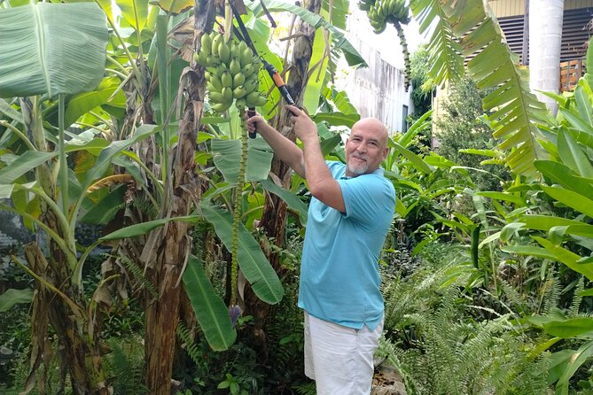 Modern Puerto Rican Cooking Class in a Historic San Germán Home - The Experience in Detail