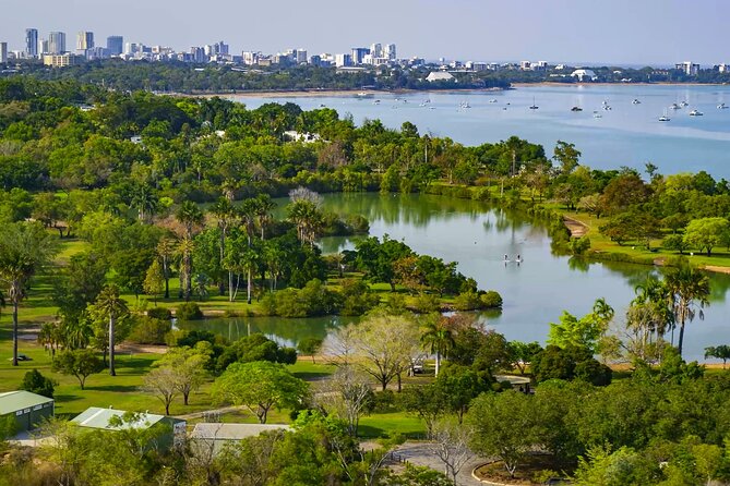 Darwin City & Mindil Beach Sunset Market experience - Comfort, Timing, and Group Size