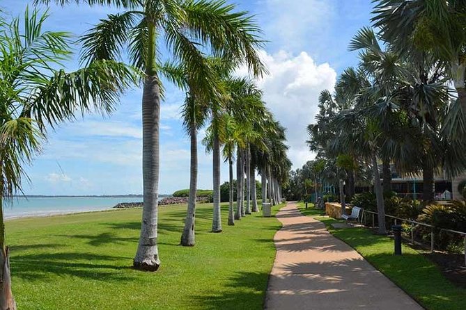 Darwin City & Mindil Beach Sunset Market experience - Who Is This Tour Best Suited For?