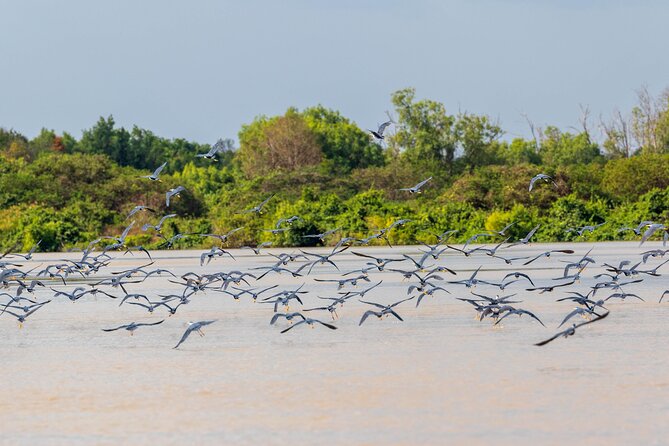 Adelaide River Cruises - Jumping Crocodile Experience - Who Should Consider This Tour?
