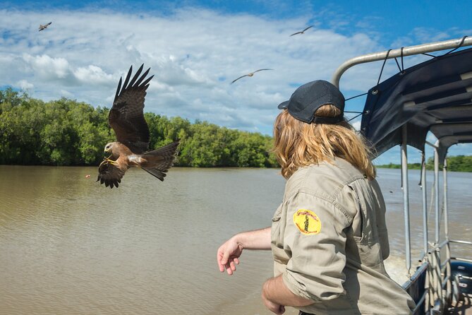 Spectacular Jumping Crocodile Cruise with Darwin Transfer Bus - Good To Know