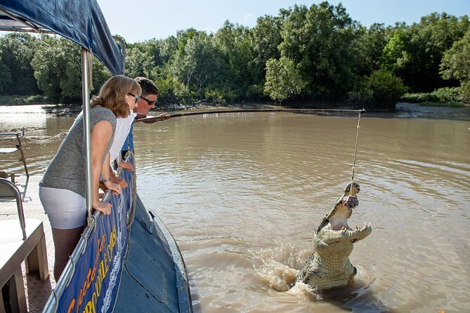 Spectacular Jumping Crocodile Cruise with Darwin Transfer Bus - Who Will Love This Tour?