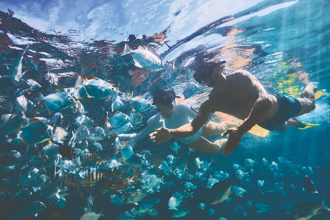 Adventure Moreton Island Scuba Dive Tour - Analyzing Value and Practicality