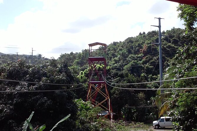 Half Day Tour in Rainforest Zipline Park with Transportation - The Sum Up