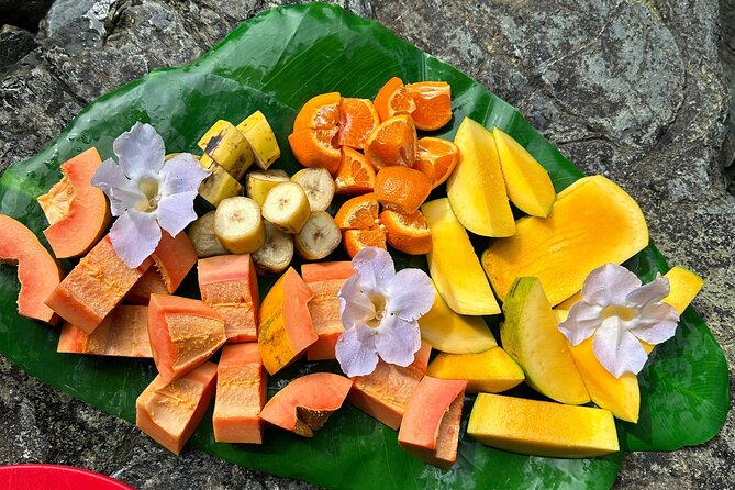 Small-Group El Yunque Rainforest & Transportation Luquillo Beach - An In-Depth Look at the Small-Group El Yunque & Luquillo Beach Tour