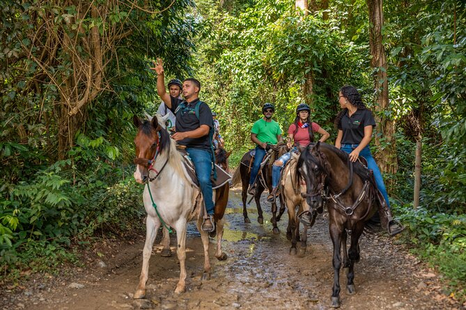 Luquillo Beach Horse Ride from Carabalí Rainforest Adventure Park - The Itinerary Breakdown