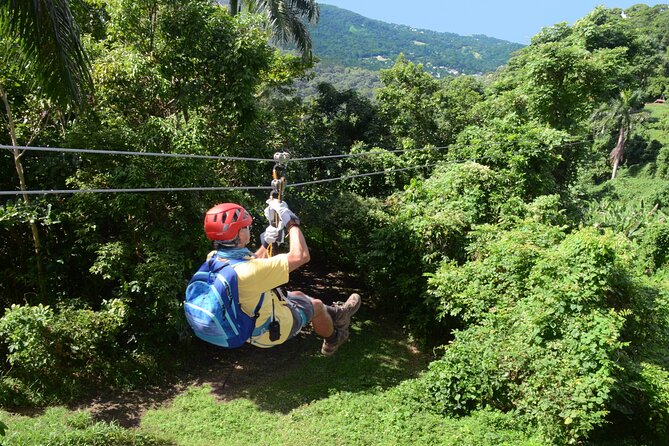 Ziplining at the Rainforest in Puerto Rico - A Deep Dive Into the Experience