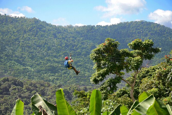 Ziplining at the Rainforest in Puerto Rico - Key Points