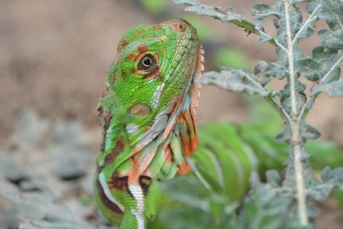Bike tour of Los Frailes Beach and the Agua Blanca Community - Key Points